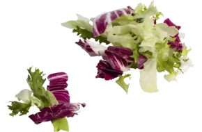 Slamix naturel 200gr
